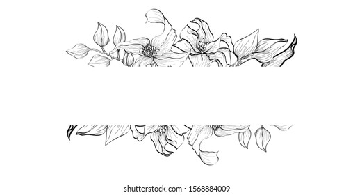 Line art hand drawn black floral banner with isolated on white background. Healing herbs for cards, frame, wedding invitation, posters, save the date or greeting design. Monochrome vector illustration