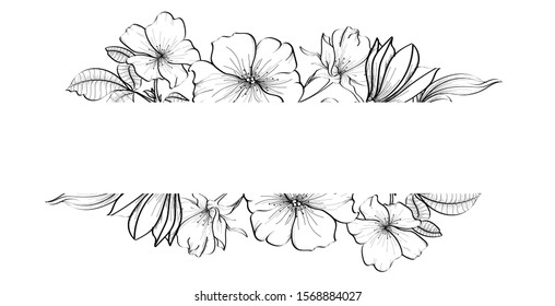 Line art hand drawn black floral banner with isolated on white background. Healing herbs for cards, frame, wedding invitation, posters, save the date or greeting design. Monochrome vector illustration