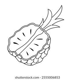 Line art hand drawn doodle half pineapple icon. Linear fruit drawing. Outline clipart fruit
