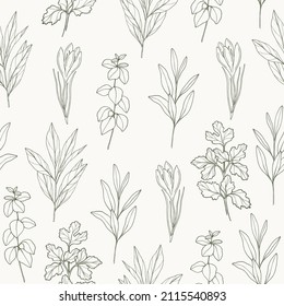 Line art hand drawn herbs and spices seamless pattern