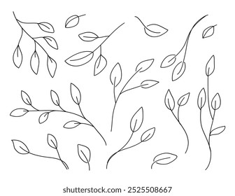 Desenho à mão de arte de linha Folhas Branch e Floral Plantas Collection.Vetor ilustração