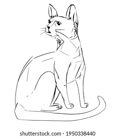 line art hand drawn vector animal sitting cat in black and white
