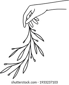 Line art hand holds a flower. Hand drawn vector hand in minimal style. Botanical illustration. Isolated