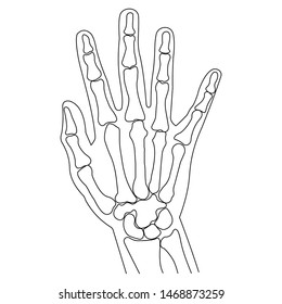 Skeletons Human Hand Drawn By Lines Stock Vector (Royalty Free ...