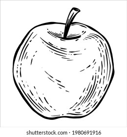 Line art, hatching, black and white graphic image of a whole apple. Vector element for creating the design of printed products, menus, banners, flyers; for creating prints, patterns and collages