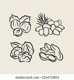 Line art hazelnut, pine nut, walnut, peanut illustration