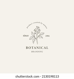 Line art henna plant logo. Botanical illustration