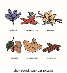 Line art herbs and spices collection