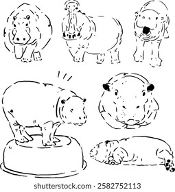 Line art of a hippo in many poses.