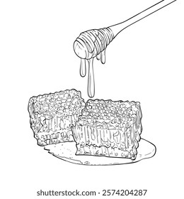 Line art honey comb pieces with a dipper dripping honey. hand drawn outline illustration of sweet natural healthy food. Graphic asset ready for online and print projects. 