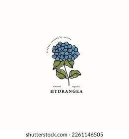 Line art hydrangea flower drawing
