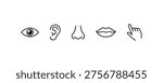 Line art icons of five human senses: sight, hearing, smell, taste, touch.