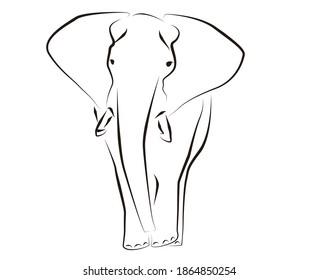 Line art illustration of an African elephant.