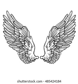 30+ Top For Anatomy Angel Wings Drawing Reference | Inter Venus