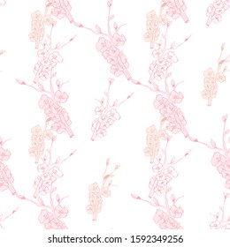 Line art illustration apple or peach brunch tree backdrop.Floral organic background. Vintage floral pattern