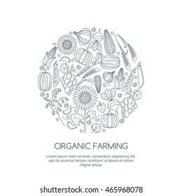 Line Art Illustration Of Autumn Harvest. Vector Outline Vegetables And Cereal Grains Icons Set. Design Elements For Agriculture, Harvesting, Gardens, Farm And Farming Organic Products.