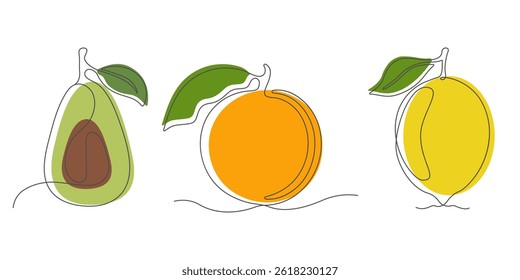 Line art illustration of avocado, orange, and lemon with colorful minimalist shapes and continuous outlines, perfect for modern food design, healthy eating visuals, and kitchen decor