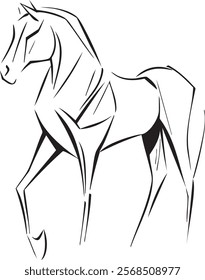 Line art illustration of a beautiful horse 