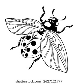 Ilustração de arte de linha de um besouro com detalhes anatômicos claros, perfeito para projetos de design, livros educativos e arte digital.