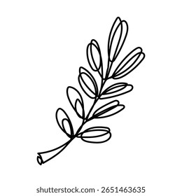 Line art illustration of a botanical branch with leaves in black on white background. For autumn designs, nature-themed prints, packaging, kitchen textiles, greeting cards, and scrapbooking.