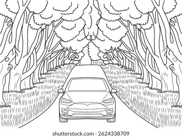 Line Art Illustration of a Car Driving on a Scenic Road, Simple black and white line drawing illustration showing a modern car driving on a road bordered by dense trees and grass, creating a natural