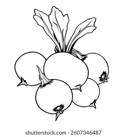 Line Art Illustration Of A Cluster Of Turnips With Greens