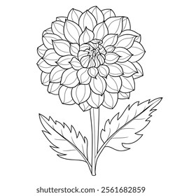 a line art illustration Dahlia flower coloring page 