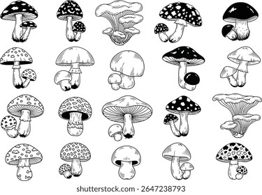 Ilustração de arte de linha com variedades de cogumelos sortidos em estudos botânicos de fungos preto e branco