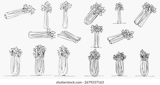 Ilustração de arte de linha com vários arranjos de talos de aipo.