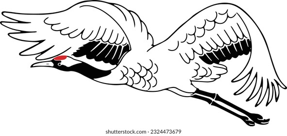 Line Art Illustration of Flying Japanese Crane (Tancho)
