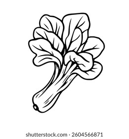 Line Art Illustration Of A Fresh Bunch Of Spinach