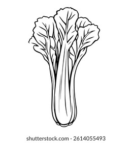 Line Art Illustration Of A Fresh Celery Stalk