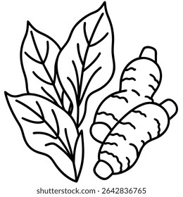 Ilustração de arte de linha de raiz de gengibre com folhas.  Design simples, arrojado em preto e branco, perfeito para projetos culinários, de saúde ou botânicos.  Gráfico limpo e versátil.
