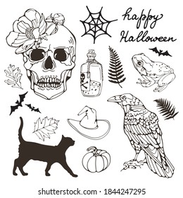 Line art illustration of Halloween related graphic elements