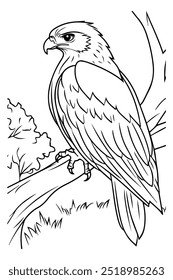 A line art illustration of a hawk perched on a branch, with a detailed focus on its feathers and fierce expression. Perfect for coloring and educational activities.