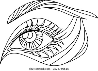 Line Art Illustration Of A Human Eye With Eyelashes And Eyebrow