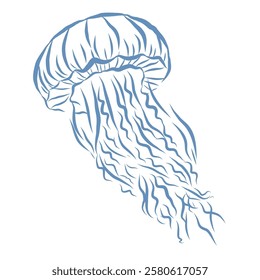 Line Art Illustration of Jellyfish. Vector Graphic.