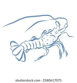 Line Art Illustration of Lobster. Vector Graphic.