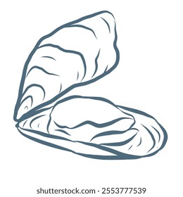 Line Art Illustration of Oyster. Vector Graphic.