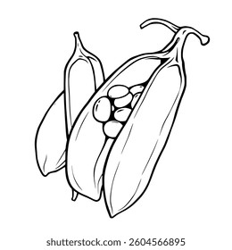 Line Art Illustration Of Peas In An Open Pod