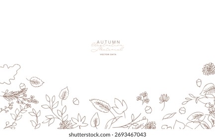 
Line art illustration of plants. Vector frame of autumn plants. Simple background of winter plants.
