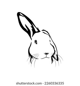 ilustración de línea de Conejo, vector EPS10