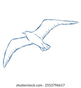 Line Art Illustration of Seagull. Vector Graphic.