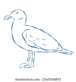 Line Art Illustration of Seagull. Vector Graphic.