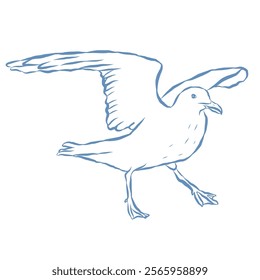 Line Art Illustration of Seagull. Vector Graphic.