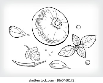 Line art illustration set of Asian cuisine spices in kind.