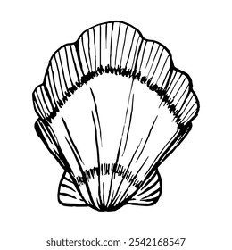 Line Art Illustration von Shell. Vektor Muscheln im Schwarz-Weiß-Stil. Malende Muschel einzeln auf weißem Hintergrund. Stilisierte Grafiken. Unterwasser-Welt-Linie Kunst für Design-Label, Postkarten