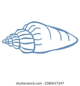 Line Art Illustration of Shell. Vector Graphic.