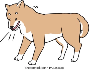 Line art illustration of a Shiba Inu parasitized by dirofilariasis and coughing