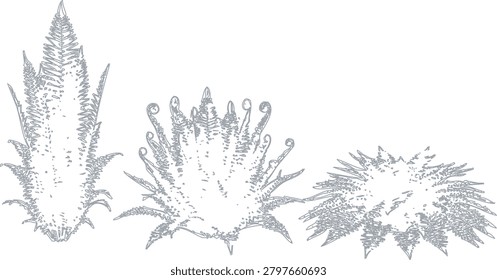 A line art illustration